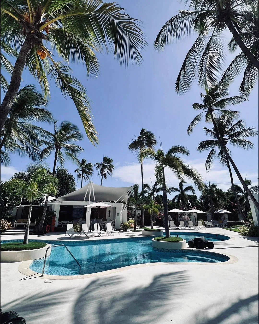 LD Palm Beach